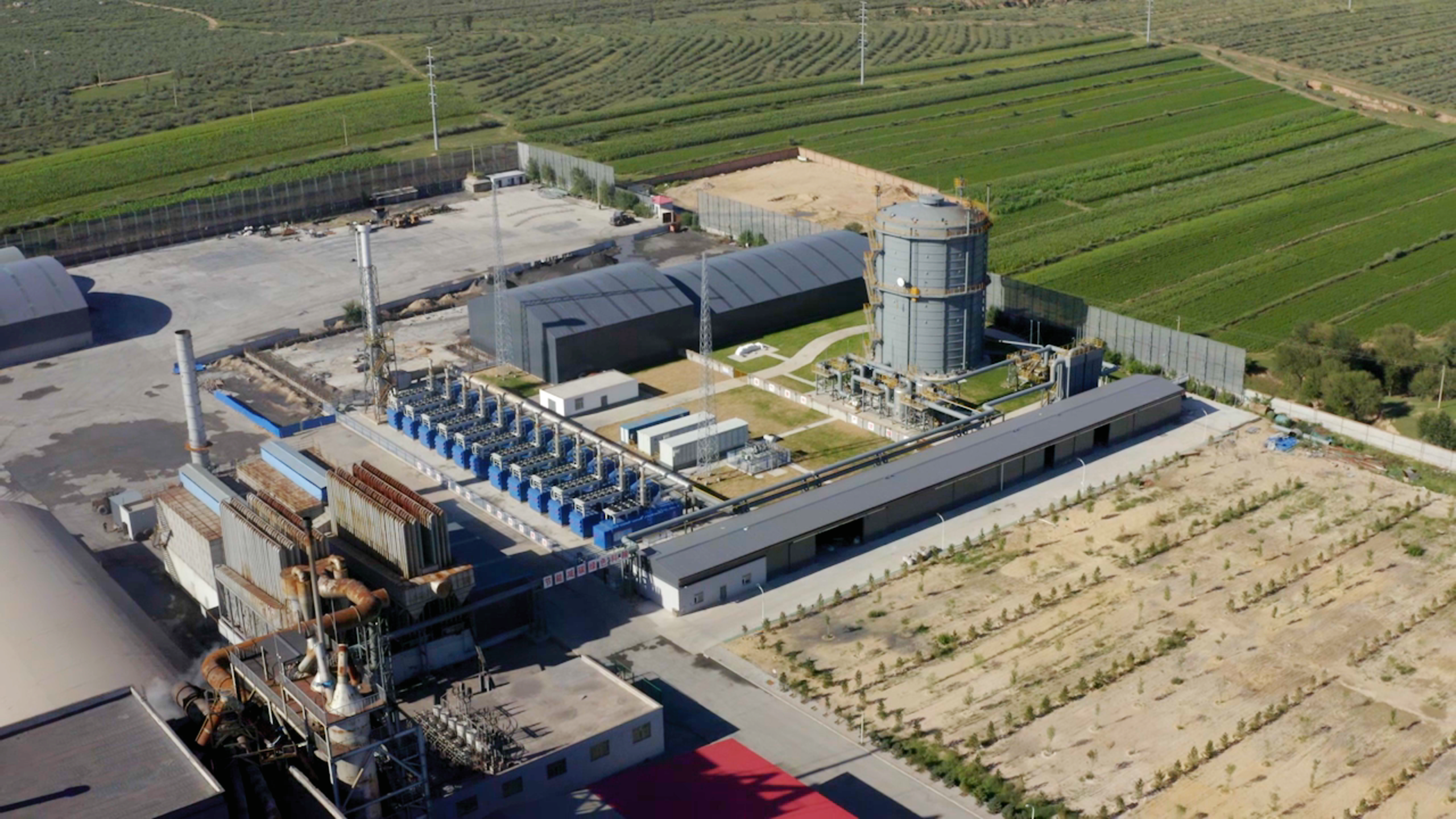 حلول IPPS